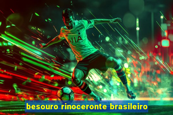 besouro rinoceronte brasileiro